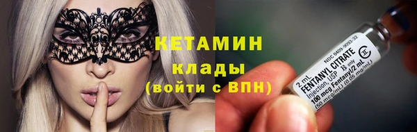 кокс Алексин