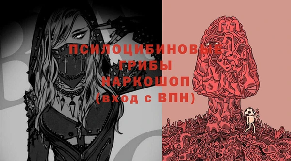 кокс Алексин