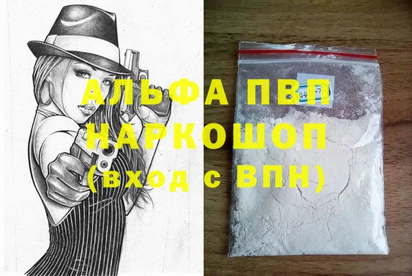 стаф Алзамай