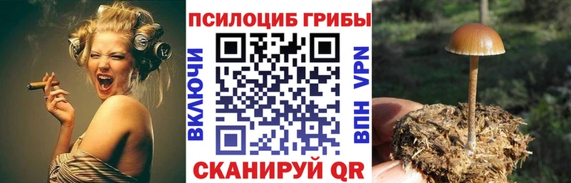 blacksprut сайт  Данков  Псилоцибиновые грибы мухоморы  сколько стоит 